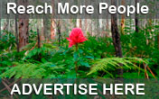 Advertise your business here